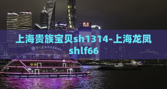 上海贵族宝贝sh1314-上海龙凤shlf66