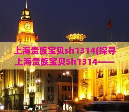 上海贵族宝贝sh1314(探寻上海贵族宝贝Sh1314——珍贵的高端社交平台)