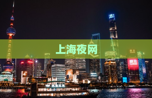 上海夜网