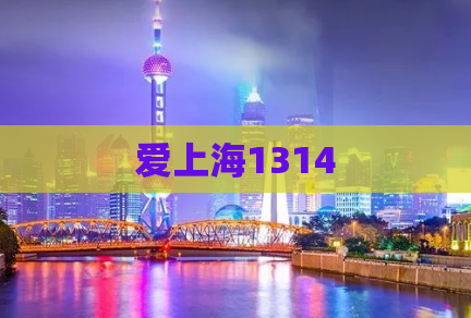 爱上海1314