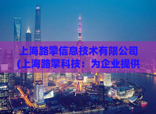 上海路擎信息技术有限公司(上海路擎科技：为企业提供全方位SEO优化服务)