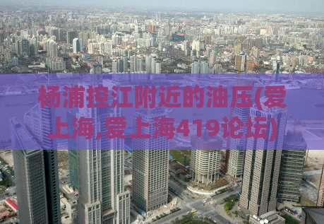 杨浦控江附近的油压(爱上海,爱上海419论坛)