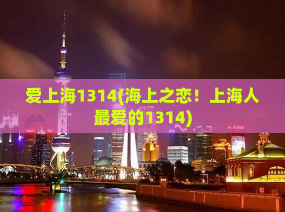 爱上海1314(海上之恋！上海人最爱的1314)