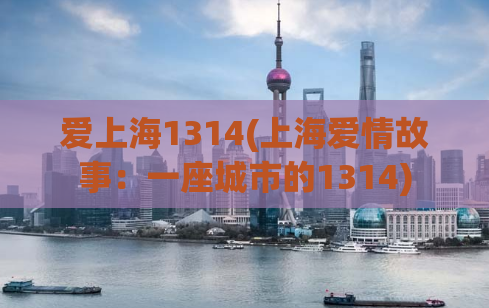 爱上海1314(上海爱情故事：一座城市的1314)