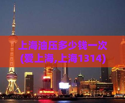 上海油压多少钱一次(爱上海,上海1314)