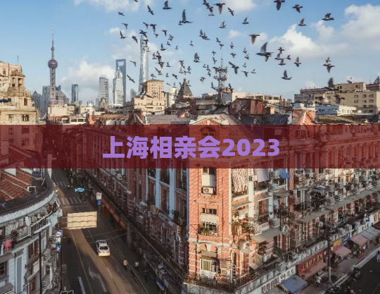 上海相亲会2023