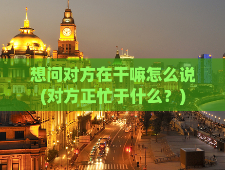 想问对方在干嘛怎么说(对方正忙于什么？)